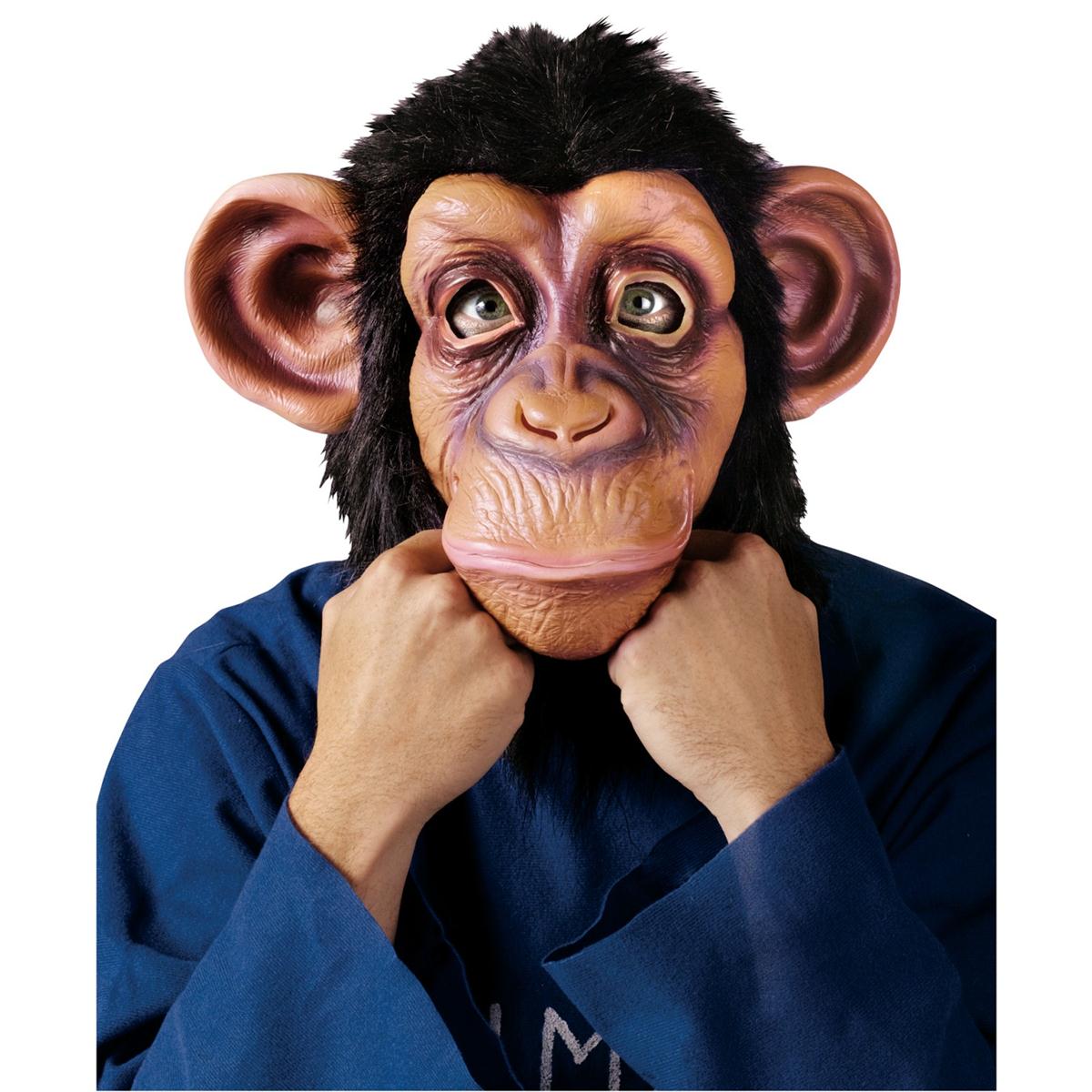 猴子穿着帽衫和面具。的雕刻插画图片素材_ID:352191061-Veer图库